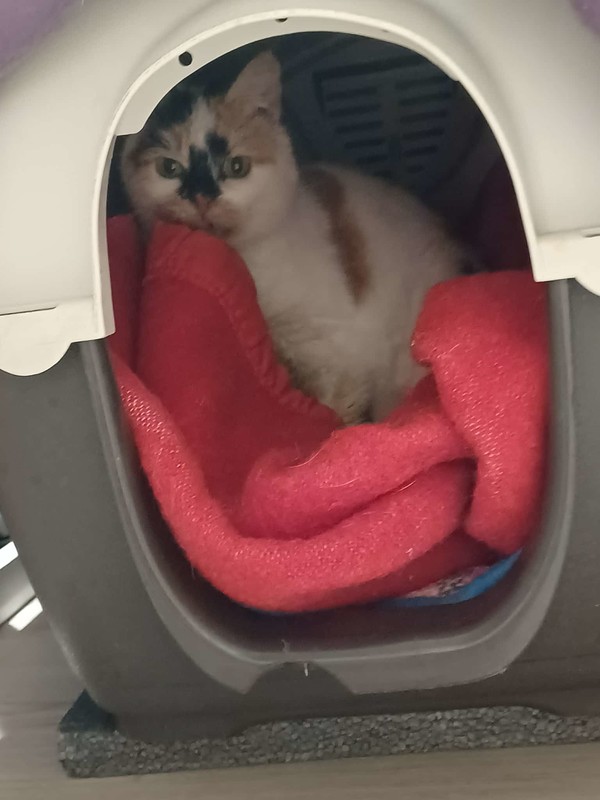 DES NOUVELLES DE MISS