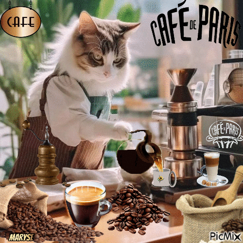CAFE cafe