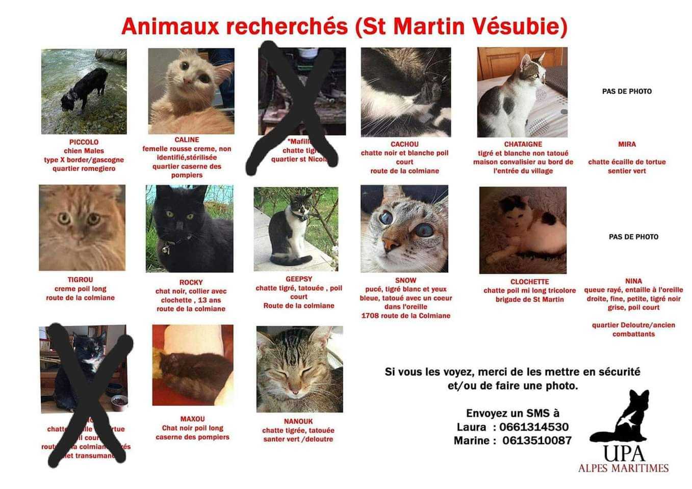 ANIMAUX DISPARUS